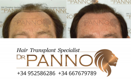 www.drpanno.com